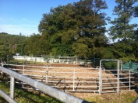 Der Roundpen Der Roundpen
